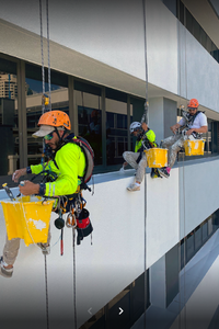 Workers hanging on ropes cleaning the exterior windows of a building.